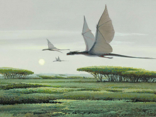 319595 (a): :1600x1200